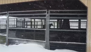 TREADMILL CONDITIONING, SALES PREPARATION, LAYUPS AND SURGERY AFTERCARE: