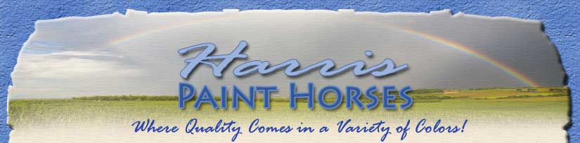 Harris Paint Horses