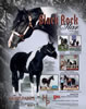 Black Rock Star07ad