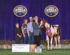 Lola-tramps-filly-(2)