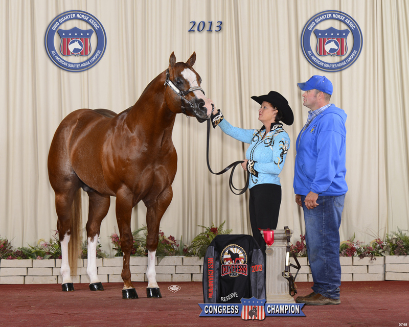 FG Totally A Charmer APHA Stallion