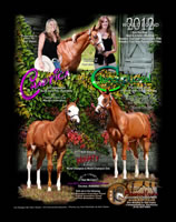 1 McClain PJ Ad SINGLE PAGE AD FINAL 800