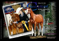 Clueceptional Ad 1 1500 Op 800x549