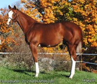 Clueceptional Oct 2012 D