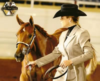 Pinto Congress 2011 Op 800x650