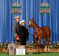 Dreamy World Champ 1 600